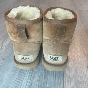 Women's Classic Mini II Boots in Chestnut